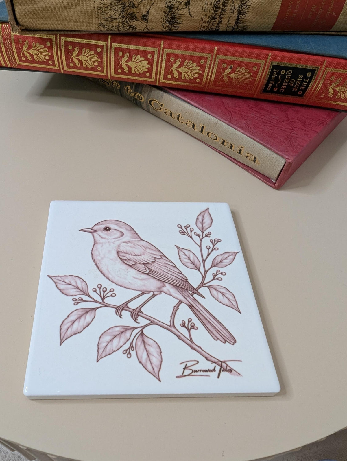 Garden Bird Coaster | Birdwatcher Gift | Bird Lover Coaster | British Wildlife Gift | Ceramic Coaste